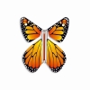 Летающая бабочка «MAGIC FLYER»