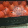 Продаем апельсины из Исапнии