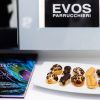 Салон красоты EVOS – кусочек Италии в центре Санкт-Петербурга
