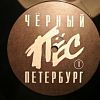 Пластинка виниловая  ДДТ - Чёрный Пёс Петербург