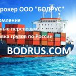 Услуги таможенного оформления в СПб - ООО Бодрус